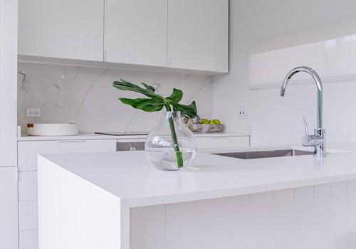 Una planta verde en un jarrón sobre la encimera de la cocina. en The Nest Garden Grove - 3bd By ZenBreak, en Saint James