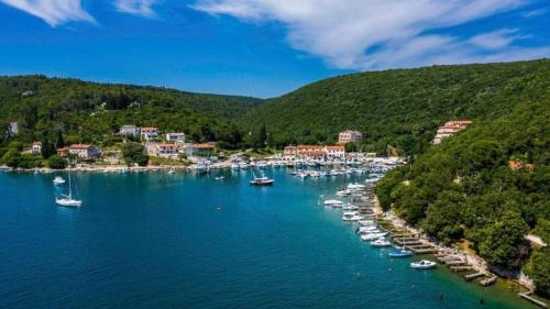 a group of boats in a harbor on a lake at Apartments Perci in Krnica