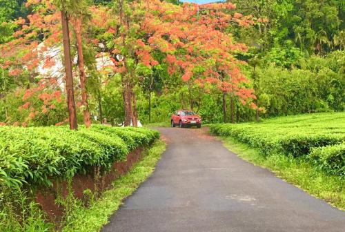 a red car driving down a road with trees at Zonooro Homestay Vythiri in Vythiri