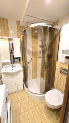 a bathroom with a shower and a toilet and a sink at 4 Lions Guest House in Gdańsk