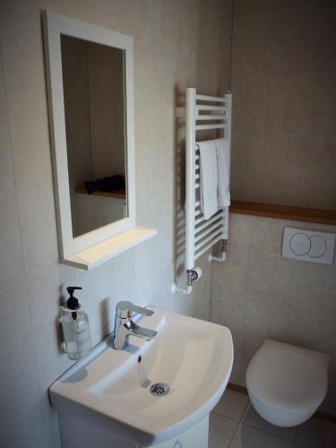 a bathroom with a sink and a toilet and a mirror at Saltvík Farm Guesthouse in Húsavík