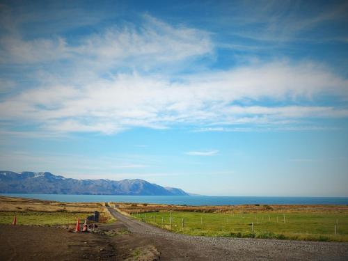 a dirt road in the middle of a field at Saltvík Farm Guesthouse in Húsavík