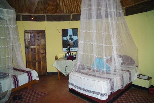 TurmiBusca Lodge的一间带床、书桌和窗帘的卧室