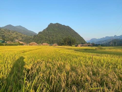 een persoon in een veld met bergen op de achtergrond bij Expeditions home in Ha Giang