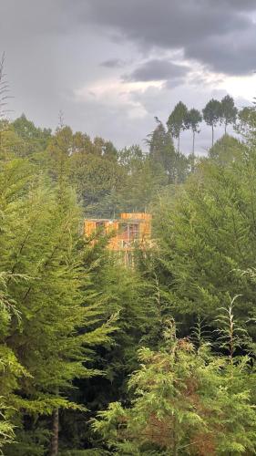 een huis midden in een bos van bomen bij O-Frame by WildFoot in Kabaru