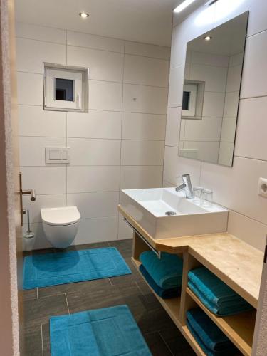 a bathroom with a sink and a toilet and a mirror at Ferienwohnung Bargehr Marion in Sankt Gallenkirch
