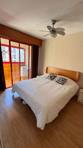 Ciudad de las Artes y Arena Roig apartmento