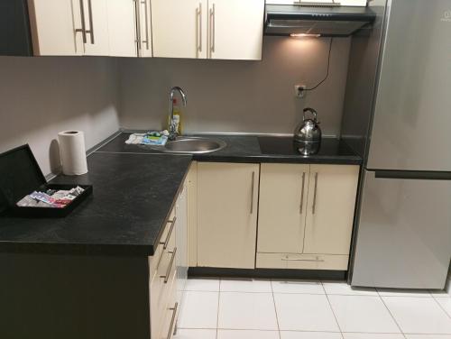 Kuchyň nebo kuchyňský kout v ubytování Oliwa Park Studio