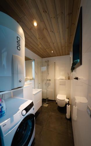 a bathroom with a toilet and a washing machine at Flåm Minisuite in Aurland