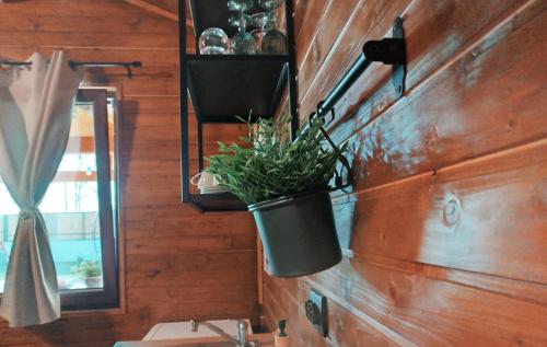 Fotografie z fotogalerie ubytování Popa Cabana v destinaci Sibiu