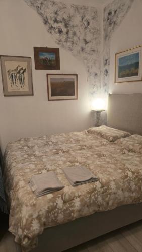 Home Rome Center