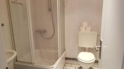 een badkamer met een douche, een toilet en een wastafel bij Süder11 - ApartB in Eddelak