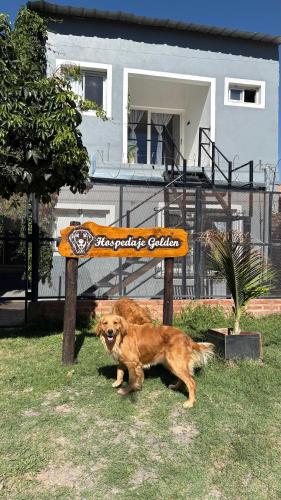 Ein Hund sitzt unter einem Schild in einem Garten in der Unterkunft Hospedaje Golden 