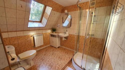 a bathroom with a shower and a toilet and a sink at Villa Poronianka in Poronin