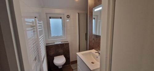 a bathroom with a sink and a toilet and a window at Vakantiepark Bronckhorst in Hengelo