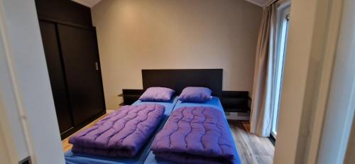 two beds in a room with purple pillows at Vakantiepark Bronckhorst in Hengelo