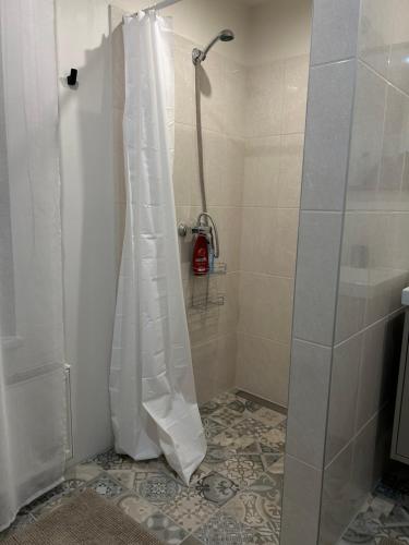 Una ducha con una cortina de ducha blanca en un baño. en Apartamenti Bulvāris, en Alūksne