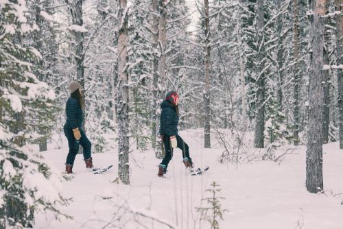 Zwei Personen beim Langlaufen durch einen schneebedeckten Wald in der Unterkunft Lapland Nature and Health in Junosuando