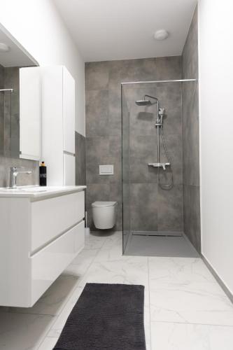 a bathroom with a shower and a toilet and a sink at Luxury Apartment Brendi in Log pri Brezovici