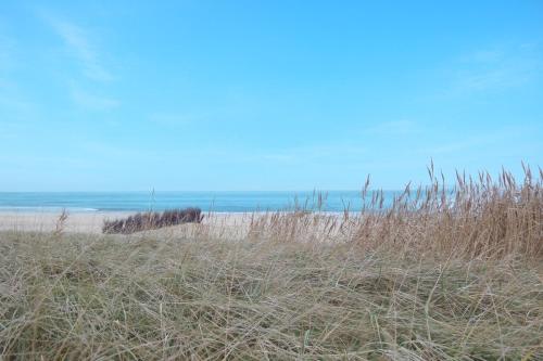 Naturlandskabet i nærheden af lejligheden