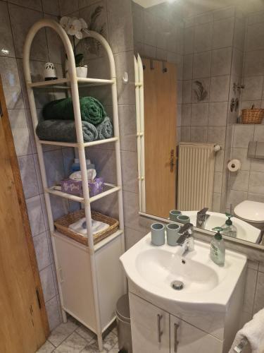 a bathroom with a sink and a mirror at Dietlinds Apartment in Ober-Nauses