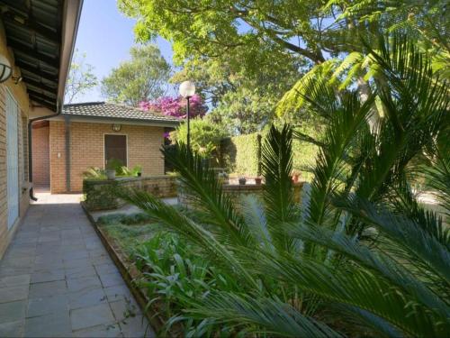 a house with a garden with palm trees and a walkway at Forest and Ferns in Graskop