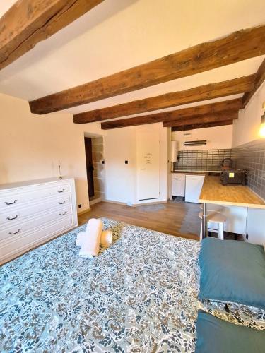 a large room with a kitchen with wooden ceilings at L'Appart' du Château - Annecy 15 min in Alby