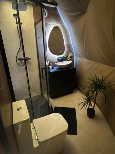 a bathroom with a toilet and a sink and a mirror at Princess Milena in London