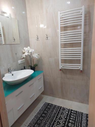 Kupatilo u objektu Apartament centru Negruzzi