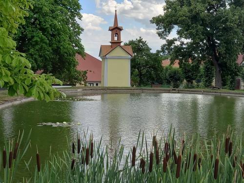 Udsigt til en flod der løber i nærheden af lejligheden