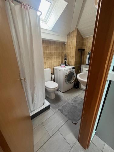 a bathroom with a toilet sink and a washing machine at Casa Pesa - Olivone in Olivone
