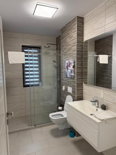 a bathroom with a toilet and a sink and a shower at Modern Stay in Şelimbăr