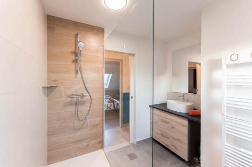 een badkamer met een douche en een wastafel bij Le clos Serenity - Jardin & parking in Horbourg