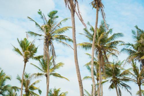 Billede fra billedgalleriet på Naïa Beach House Midigama i Midigama West