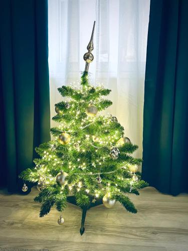 a green christmas tree sitting in front of a window at Cuddle Corner Budapest in Budapest