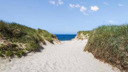 Naturlandskabet i nærheden af feriehuset