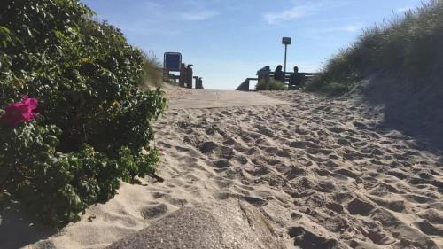 Naturlandskabet i nærheden af feriehuset