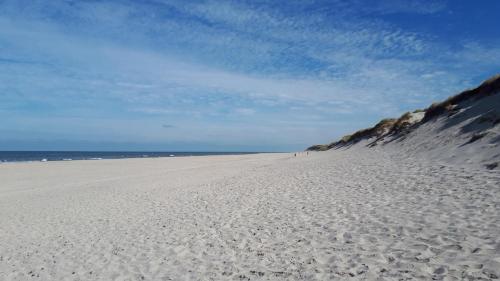 Naturlandskabet i nærheden af feriehuset