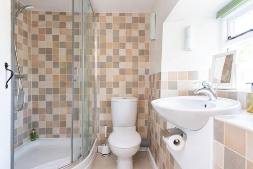 a bathroom with a toilet and a sink at Hansel Cottage in Dartmouth