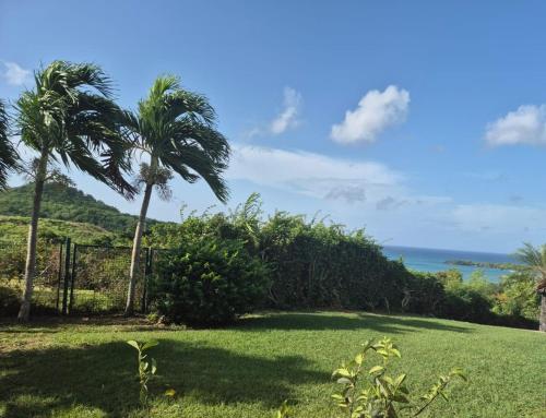 Příroda nedaleko vily