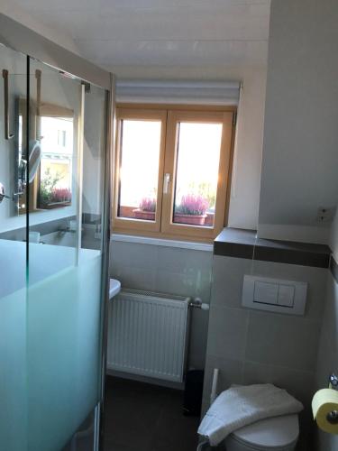 a bathroom with a shower and a toilet and two windows at Ferienwohnung Jaga in Rattendorf