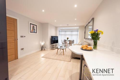a kitchen and living room with a counter top at Ivory Lodge in Reading