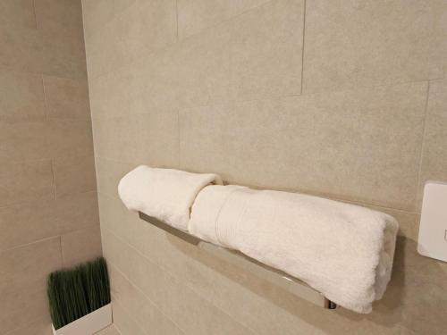 a bathroom with a towel rack in a shower at Above the Park Sydney Harbour City View Stay in Sydney