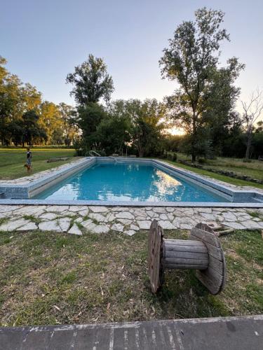 a swimming pool with a statue in the grass at Casa del monte in Carmen de Areco