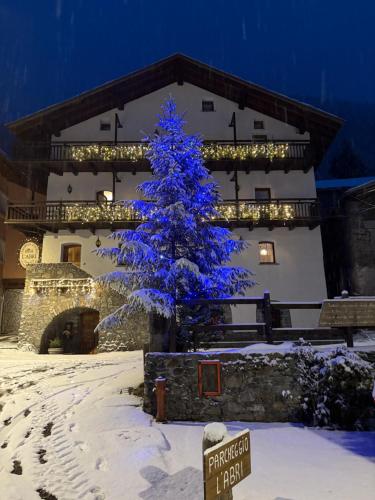 a blue christmas tree in the snow in front of a building at Affittacamere L'Abri in Etroubles