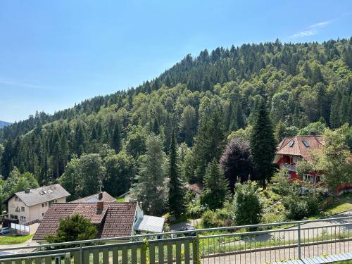 a view of a mountain with houses and trees at Ferienwohnung Panoramablick - super für deine Familie und die besten Aussicht in ganz Todtmoos in Todtmoos