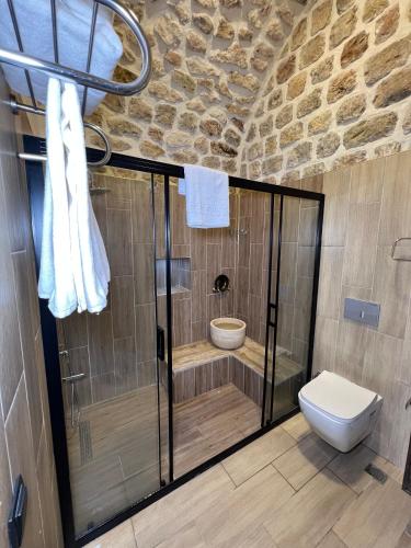 a bathroom with a shower and a toilet in a room at Arami Han Konağı in Mardin