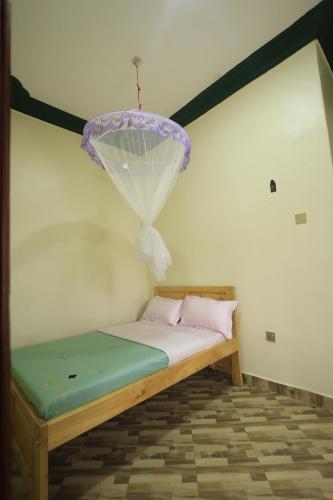 卡塞斯Kasese Airstrip Homestay的配有一张带蚊帐的床的客房