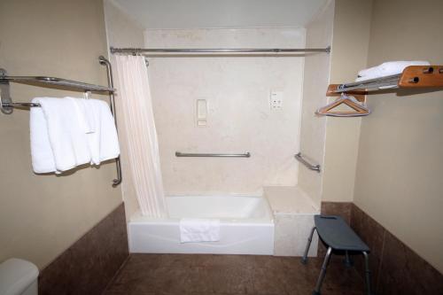 een badkamer met een douche, een bad en handdoeken bij Edinburg Executive Inn in Edinburg