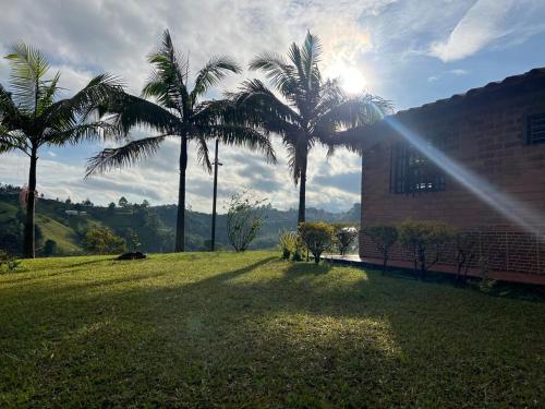 a group of palm trees in a yard with a building at Villa El Colibri in El Peñol
